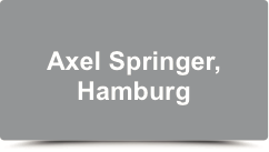 axel-springer-portfolio